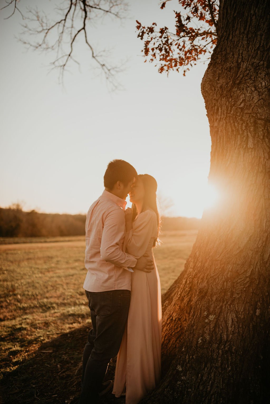 engagement photos of couple at sunset under oak tree