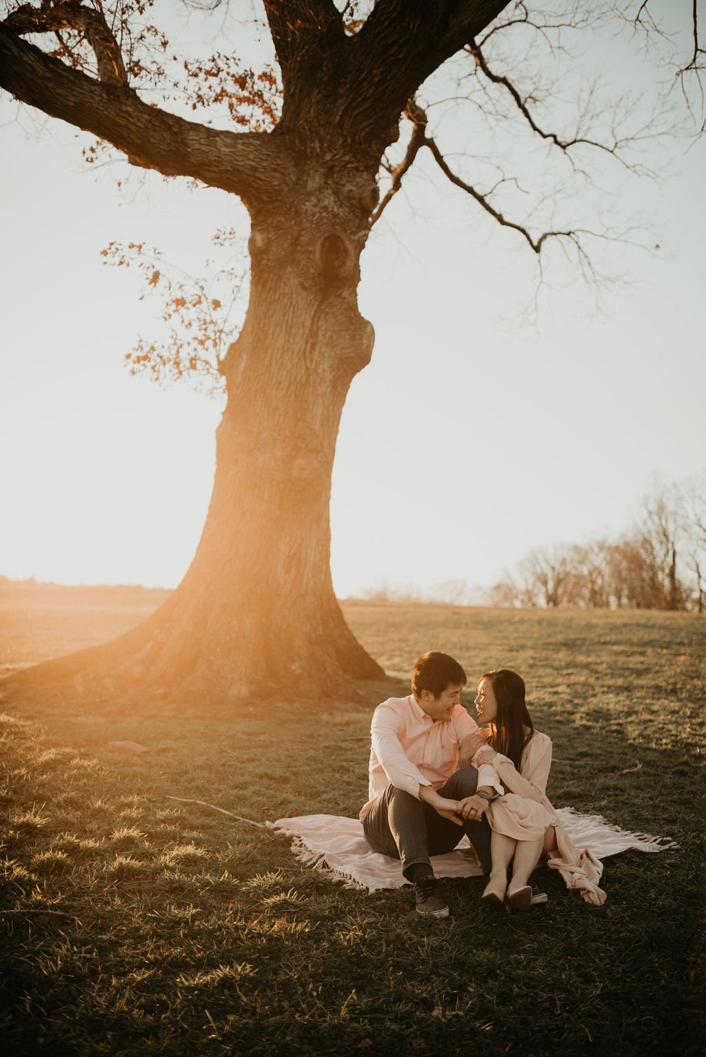 engagement photos of couple sitting under tree at sunset